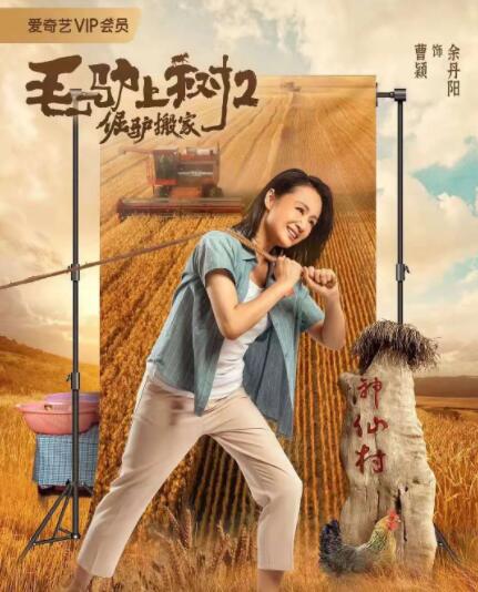 奔跑的肉体