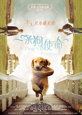 欧美日韩国产区在线观看