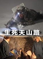 日本成人a视频