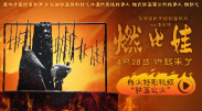 技师的技巧十分巧妙