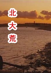 免费又黄又爽又色的视频