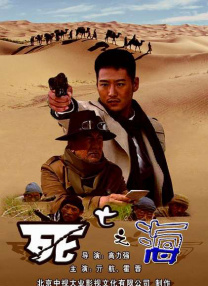 东北少妇av在线播放