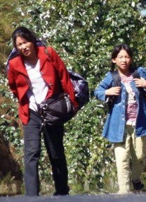 图片区 小说区
