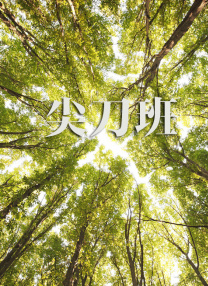 国产日韩精品在线