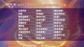 亚洲视频国产精品