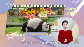 第一福利在线观看